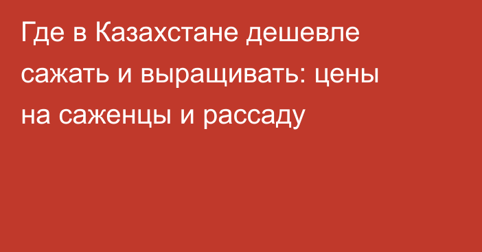 Где в Казахстане дешевле сажать и выращивать: цены на саженцы и рассаду