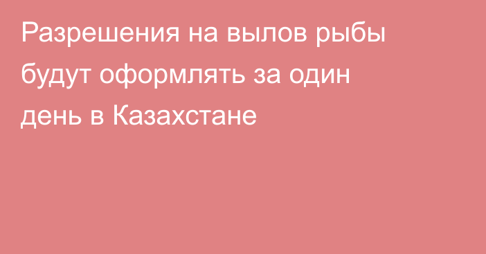Разрешения на вылов рыбы будут оформлять за один день в Казахстане