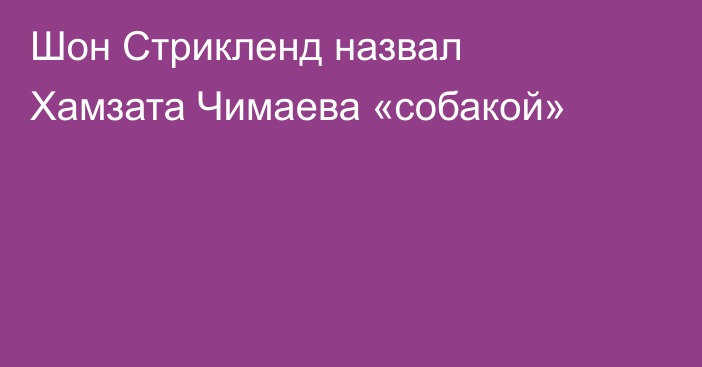 Шон Стрикленд назвал Хамзата Чимаева «собакой»