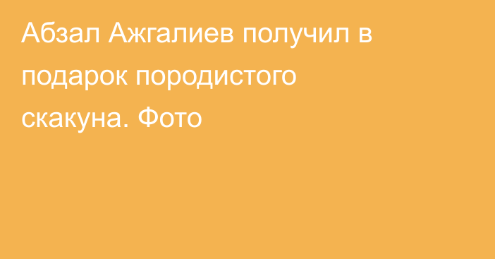 Абзал Ажгалиев получил в подарок породистого скакуна. Фото