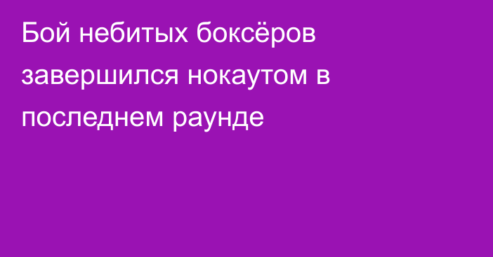 Бой небитых боксёров завершился нокаутом в последнем раунде