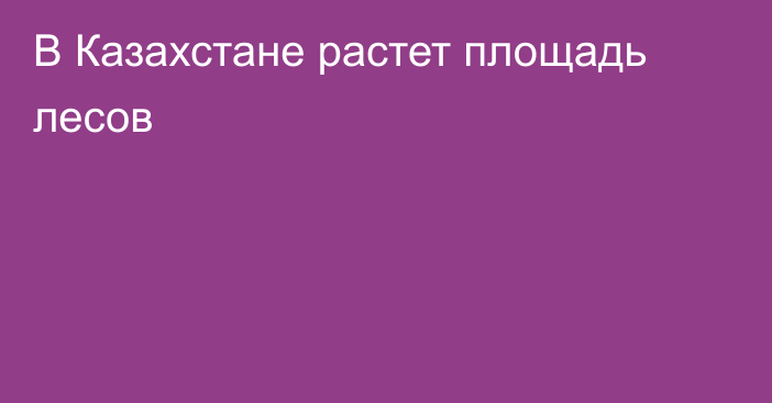 В Казахстане растет площадь лесов