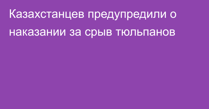 Казахстанцев предупредили о наказании за срыв тюльпанов