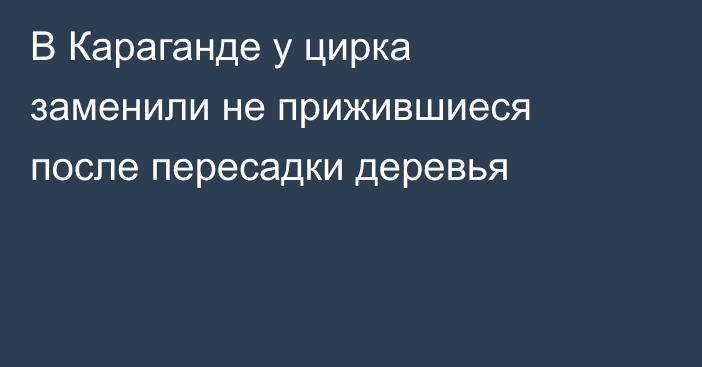 В Караганде у цирка заменили не прижившиеся после пересадки деревья