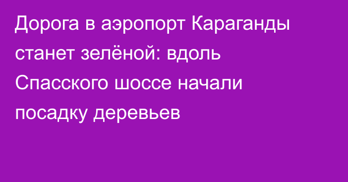 Дорога в аэропорт Караганды станет зелёной: вдоль Спасского шоссе начали посадку деревьев