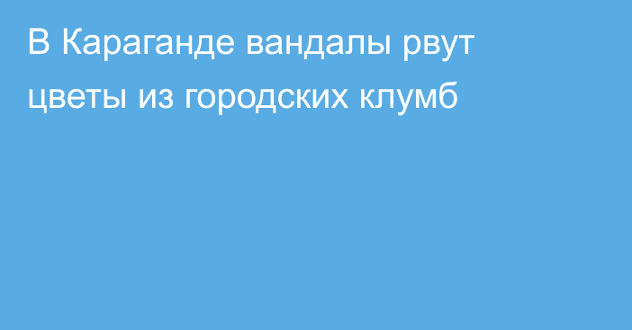 В Караганде вандалы рвут цветы из городских клумб