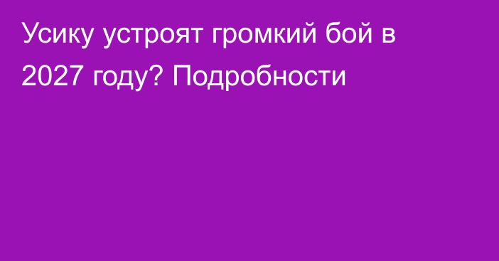 Усику устроят громкий бой в 2027 году? Подробности
