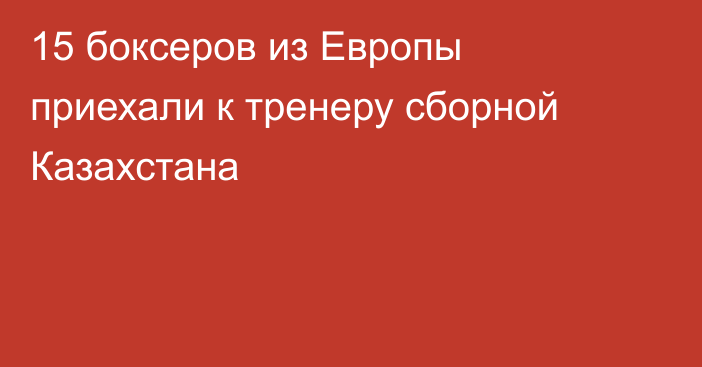 15 боксеров из Европы приехали к тренеру сборной Казахстана