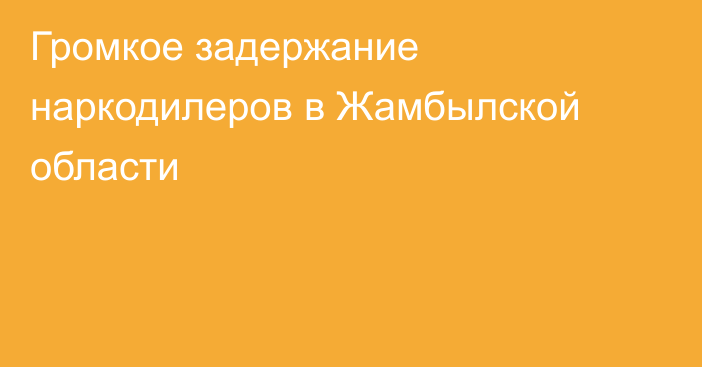 Громкое задержание наркодилеров в Жамбылской области