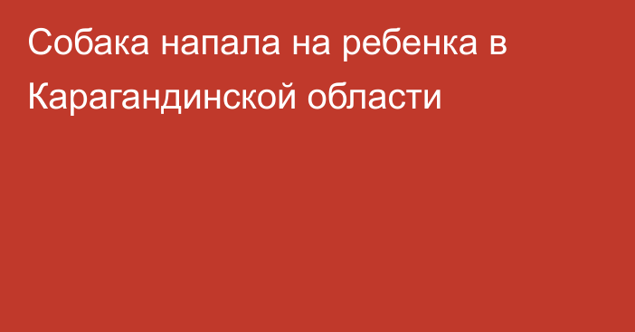 Собака напала на ребенка в Карагандинской области