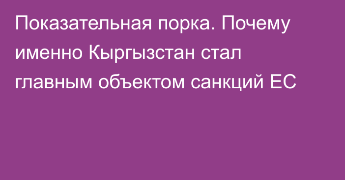 Показательная порка. Почему именно Кыргызстан стал главным объектом санкций ЕС