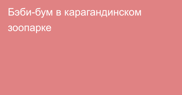 Бэби-бум в карагандинском зоопарке
