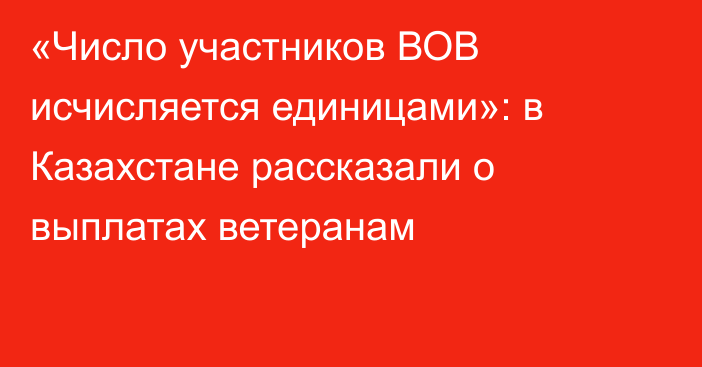 «Число участников ВОВ исчисляется единицами»: в Казахстане рассказали о выплатах ветеранам