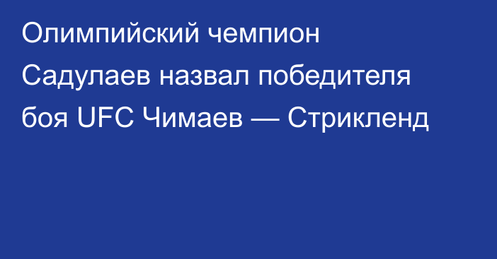 Олимпийский чемпион Садулаев назвал победителя боя UFC Чимаев — Стрикленд