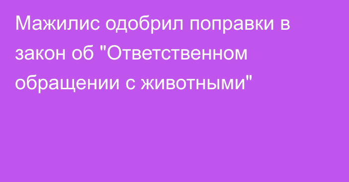 Мажилис одобрил поправки в закон об 