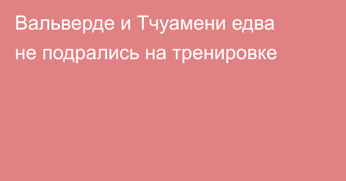 Вальверде и Тчуамени едва не подрались на тренировке
