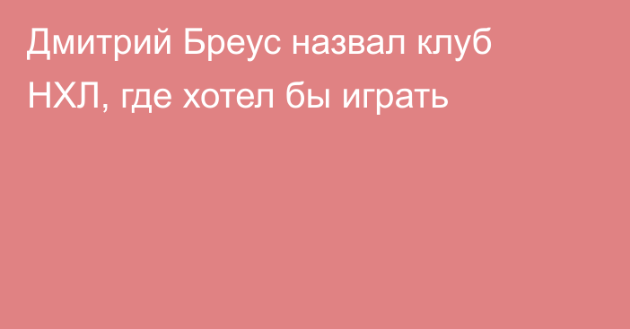 Дмитрий Бреус назвал клуб НХЛ, где хотел бы играть