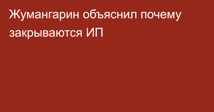 Жумангарин объяснил почему закрываются ИП