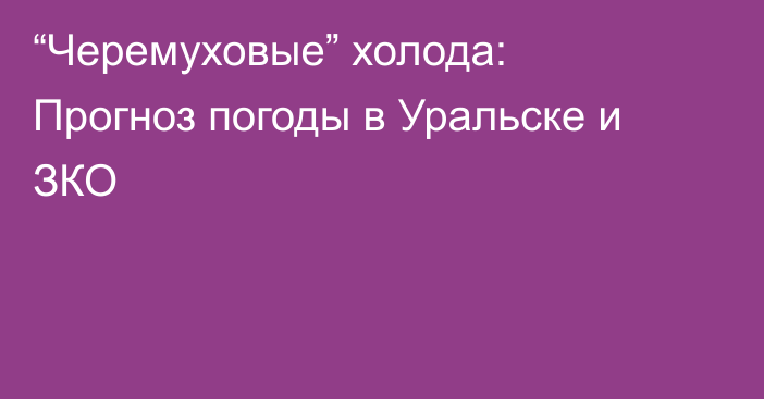 “Черемуховые” холода: Прогноз погоды в Уральске и ЗКО