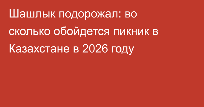Шашлык подорожал: во сколько обойдется пикник в Казахстане в 2026 году