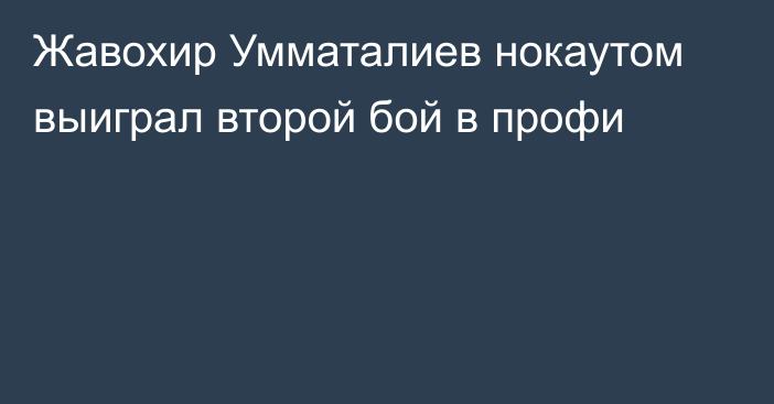 Жавохир Умматалиев нокаутом выиграл второй бой в профи