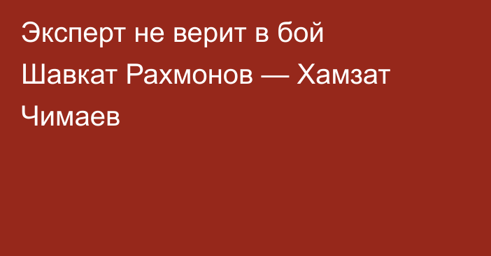 Эксперт не верит в бой Шавкат Рахмонов — Хамзат Чимаев
