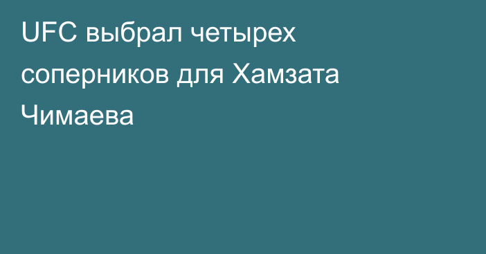 UFC выбрал четырех соперников для Хамзата Чимаева