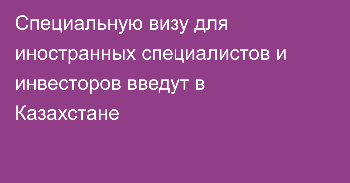 Специальную визу для иностранных специалистов и инвесторов введут в Казахстане