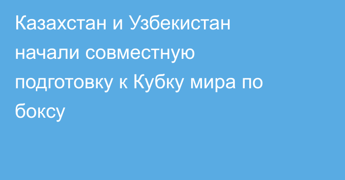 Казахстан и Узбекистан начали совместную подготовку к Кубку мира по боксу