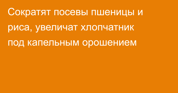 Сократят посевы пшеницы и риса, увеличат хлопчатник под капельным орошением