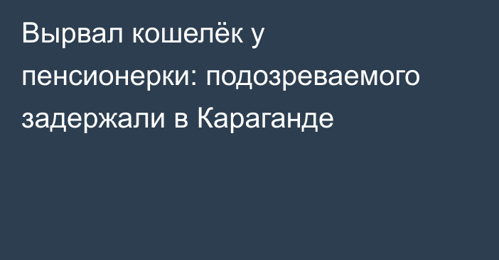 Вырвал кошелёк у пенсионерки: подозреваемого задержали в Караганде