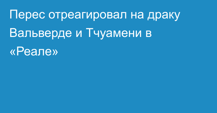 Перес отреагировал на драку Вальверде и Тчуамени в «Реале»