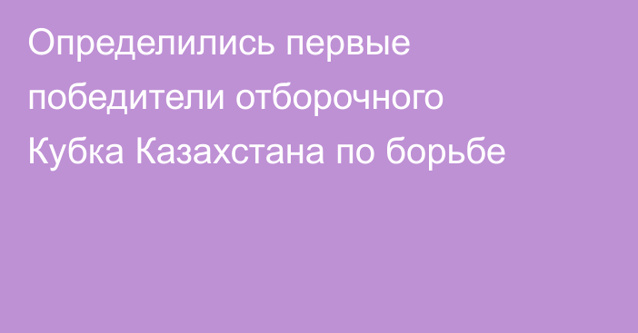 Определились первые победители отборочного Кубка Казахстана по борьбе