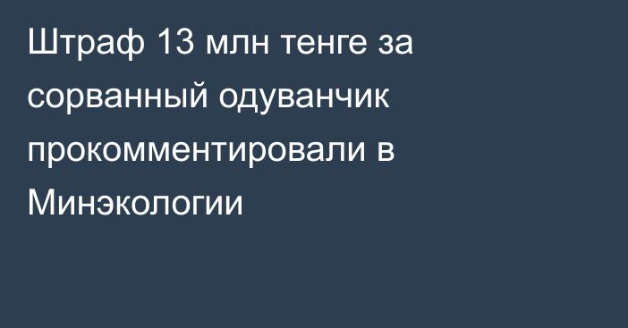 Штраф 13 млн тенге за сорванный одуванчик прокомментировали в Минэкологии