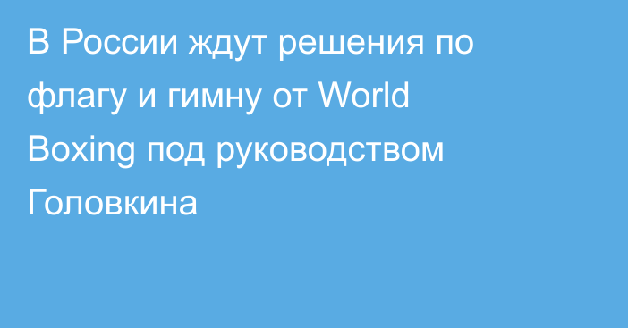 В России ждут решения по флагу и гимну от World Boxing под руководством Головкина