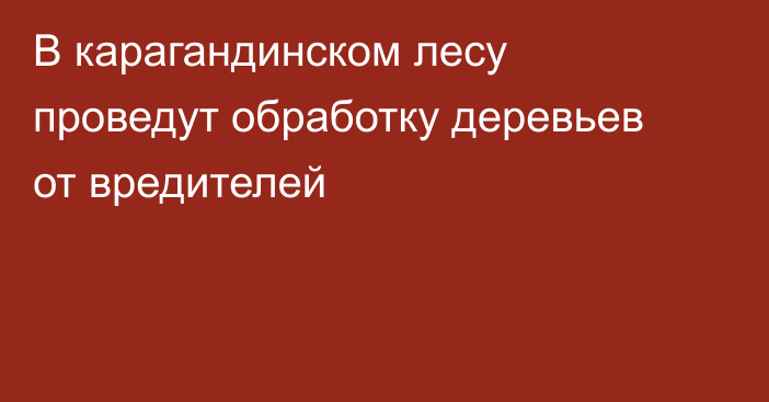 В карагандинском лесу проведут обработку деревьев от вредителей