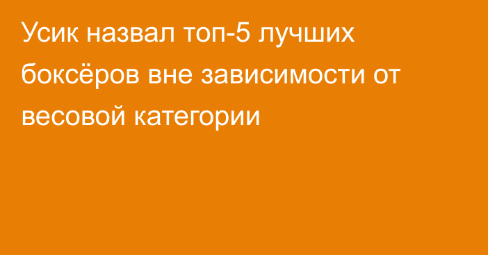 Усик назвал топ-5 лучших боксёров вне зависимости от весовой категории