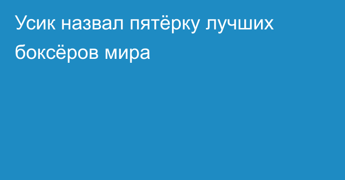 Усик назвал пятёрку лучших боксёров мира