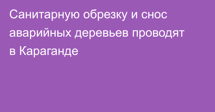 Санитарную обрезку и снос аварийных деревьев проводят в Караганде