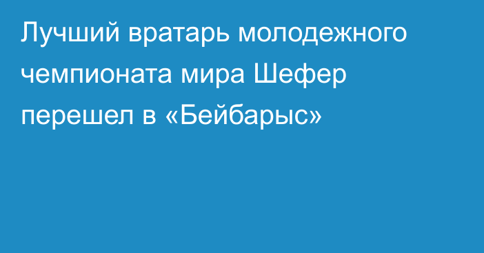 Лучший вратарь молодежного чемпионата мира Шефер перешел в «Бейбарыс»