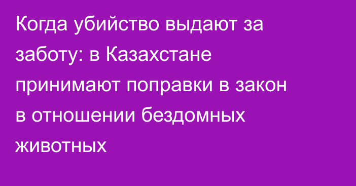 Когда убийство выдают за заботу: в Казахстане принимают поправки в закон в отношении бездомных животных