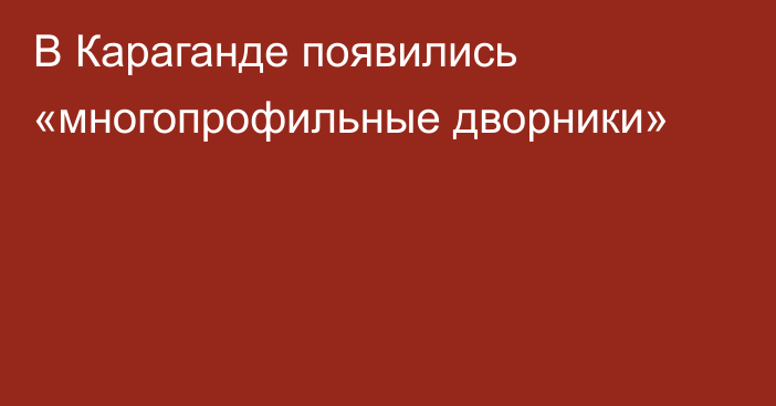 В Караганде появились «многопрофильные дворники»
