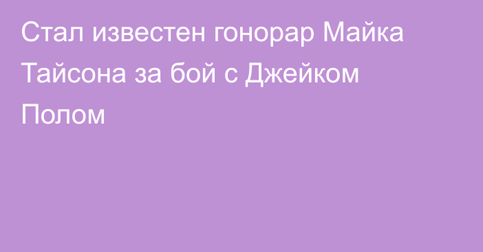 Стал известен гонорар Майка Тайсона за бой с Джейком Полом