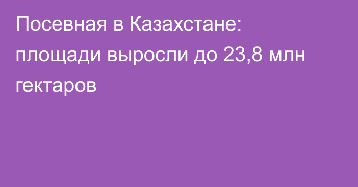 Посевная в Казахстане: площади выросли до 23,8 млн гектаров