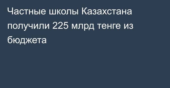 Частные школы Казахстана получили 225 млрд тенге из бюджета