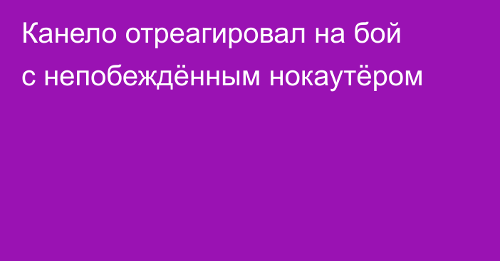 Канело отреагировал на бой с непобеждённым нокаутёром