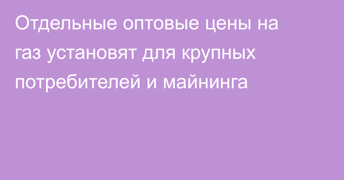 Отдельные оптовые цены на газ установят для крупных потребителей и майнинга