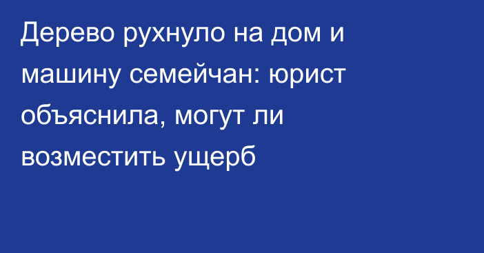 Дерево рухнуло на дом и машину семейчан: юрист объяснила, могут ли возместить ущерб