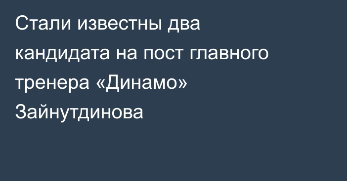 Стали известны два кандидата на пост главного тренера «Динамо» Зайнутдинова