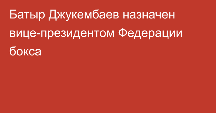 Батыр Джукембаев назначен вице-президентом Федерации бокса
